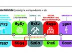 Ranking wynagrodzeń: Górnik i leśnik zarabiają najwięcej