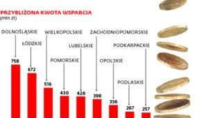 Ile pieniędzy w ramach instrumentów zwrotnych będzie wdrażał BGK w poszczególnych regionach