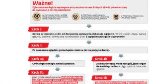 Wycinka tylko po uprzednim zgłoszeniu
