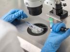 Wyborcze in vitro, czyli niewygodny prezent dla następców