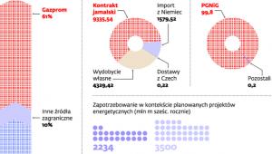 Polski rynek gazu