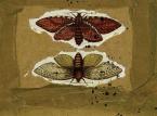 Mina Caputo "As Much Truth As One Can Bear" - recenzja