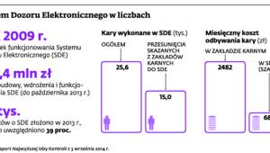 System Dozoru Elektronicznego w liczbach