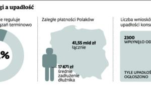 Polskie długi a upadłość