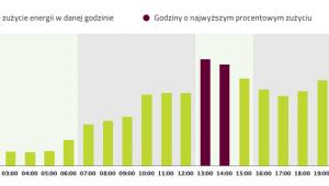 Procentowe zużycie energii w danej godzinie