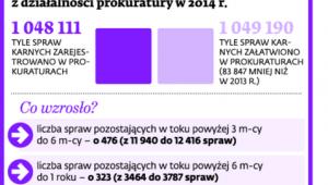 Ze sprawozdania Andrzeja Seremeta z działalności prokuratury w 2014 r.