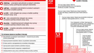 Ocena funkcjonowania obecnej ustawy o służbie cywilnej