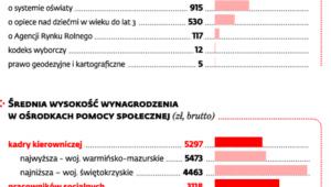 Jednostki pomocy społecznej