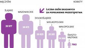 Najwięcej przestępstw popełnia się na Śląsku