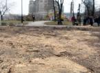 Warszawa: Trzaskowski wstrzymuje do piątku wycinkę drzew nad Wisłą
