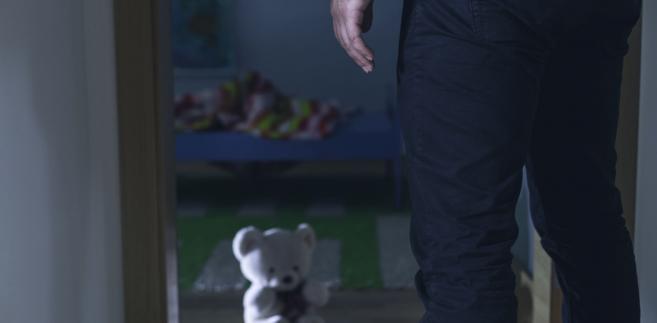 Polskie prawo nie zna formy „obywatelskich prowokacji”. Czy więc taka prowokacja przynosi więcej zagrożeń w stosunku do prowokatora czy osoby sprowokowanej? Ponieważ najbardziej jaskrawym przykładem prowokacji obywatelskich są działania tzw. łowców pedofilów, oprę się na ich przykładzie.