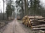 Obrońcy Puszczy Białowieskiej wciąż karani. Wyrok TSUE oraz obietnice ministra Kowalczyka nic nie zmieniły