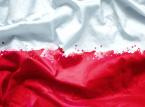 Eksperymentalne królestwo. Wizja księcia Czartoryskiego zauroczyła Aleksandra I
