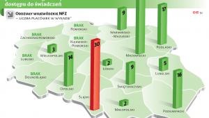 Liczba placówek wpisanych do wykazów podmiotów zagrożonych brakiem dostępu do świadczeń
