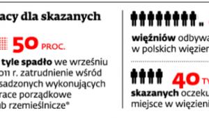 Potencjalny rynek pracy dla skazanych