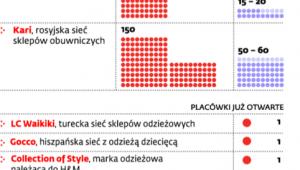 Sieci wchodzą do Polski
