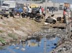 Haiti: Co najmniej 11 osób zginęło w trzęsieniu ziemi